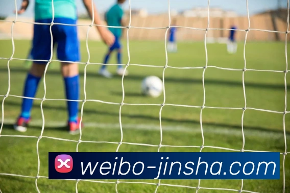 澳门金沙官网平台生态图